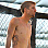 Aaron King